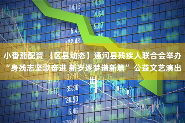 小番茄配资 【区县动态】通河县残疾人联合会举办“身残志坚歌奋进 新岁逐梦谱新篇” 公益文艺演出
